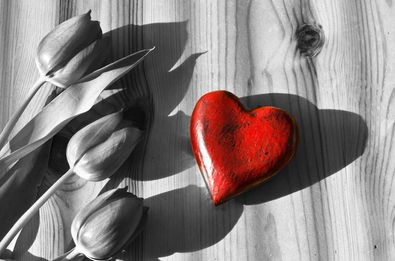 coração vermelho de São Valentim